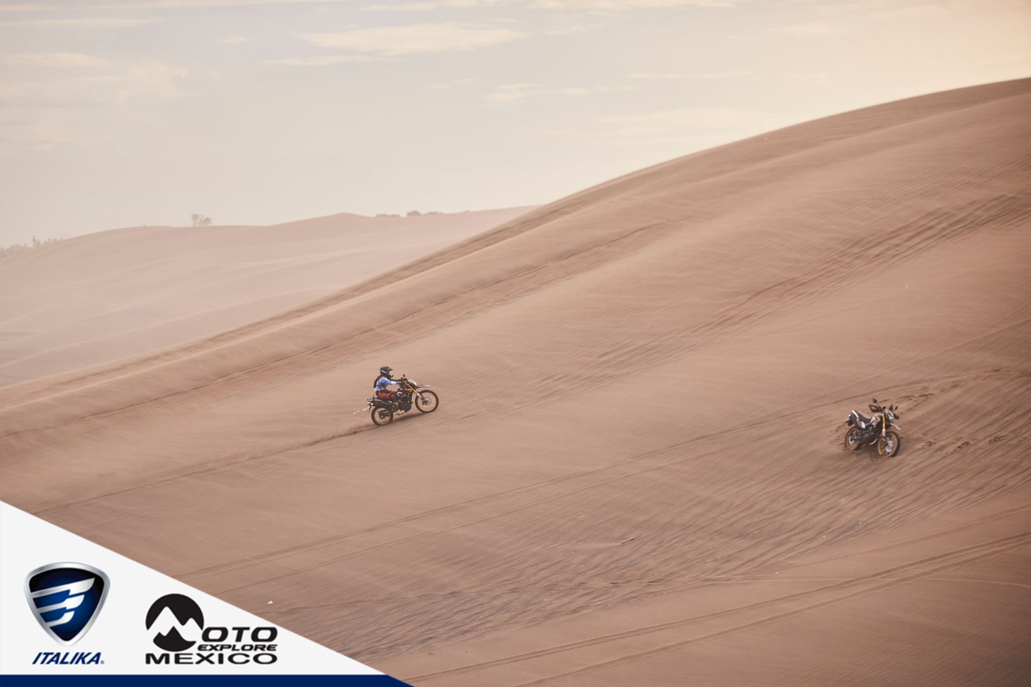 ITALIKA CHACHALACAS D2 483